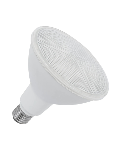 Lampadina PAR30 LED
