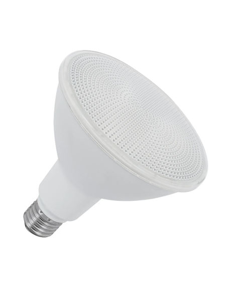 Lampadina PAR30 LED