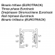 Binario Elettrificato "Eurotrack"