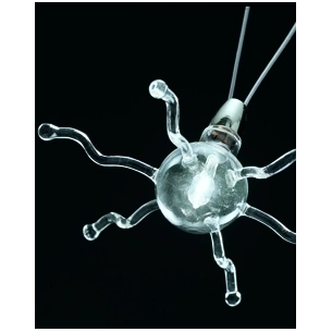 POLIPETTO SOSPENSIONE 2