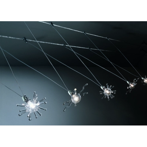 POLIPETTO - Sospensione a Luce Diffusa