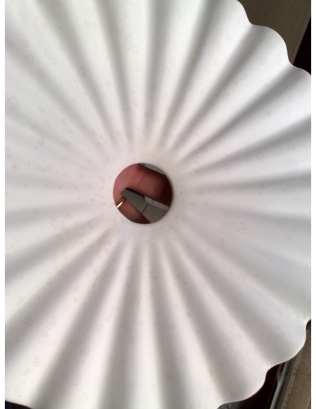 DALIA - solo PIATTO Plissettato -